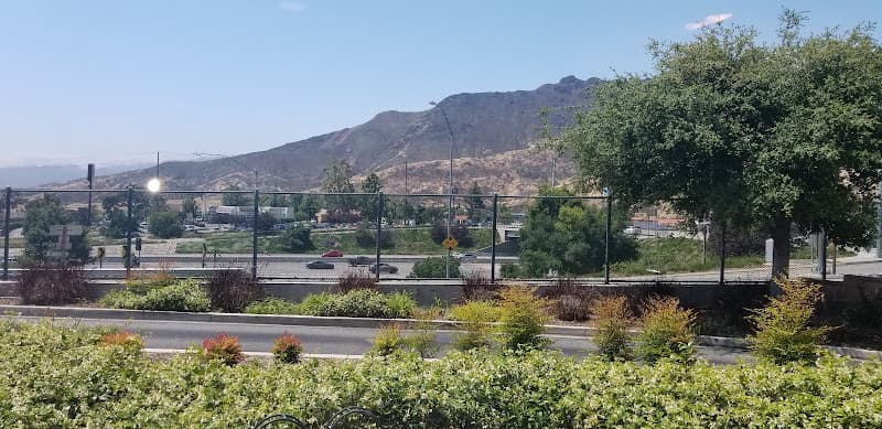 Agoura Renaissance Pleasure Faire Reunion Picnic and Revels