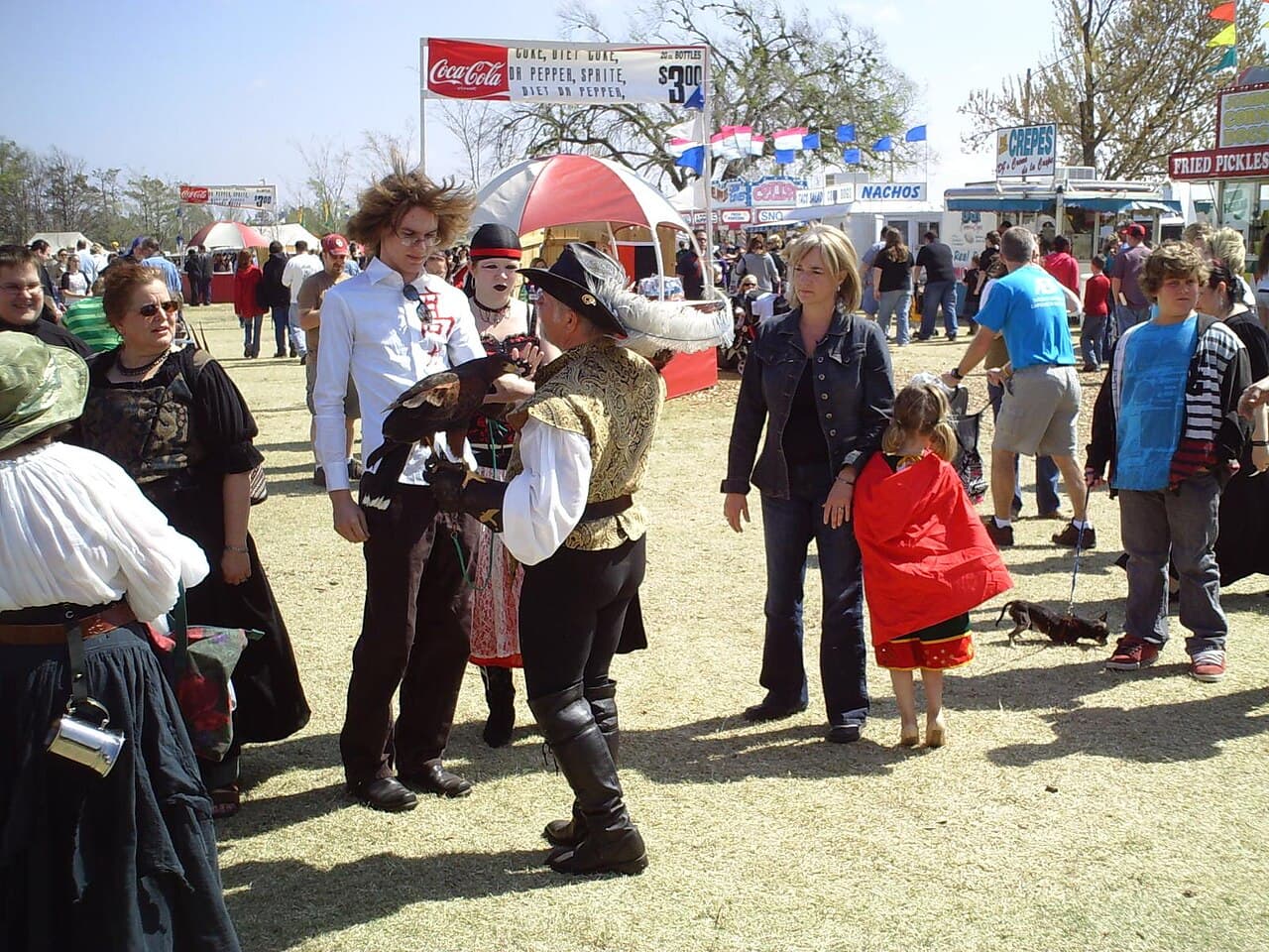 Medieval Faire of Norman