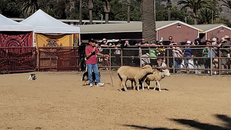 Seaside Highland Games